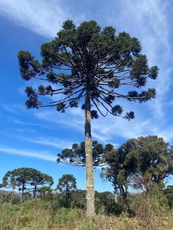 Recanto Luz da Serra Urubici Exterior foto